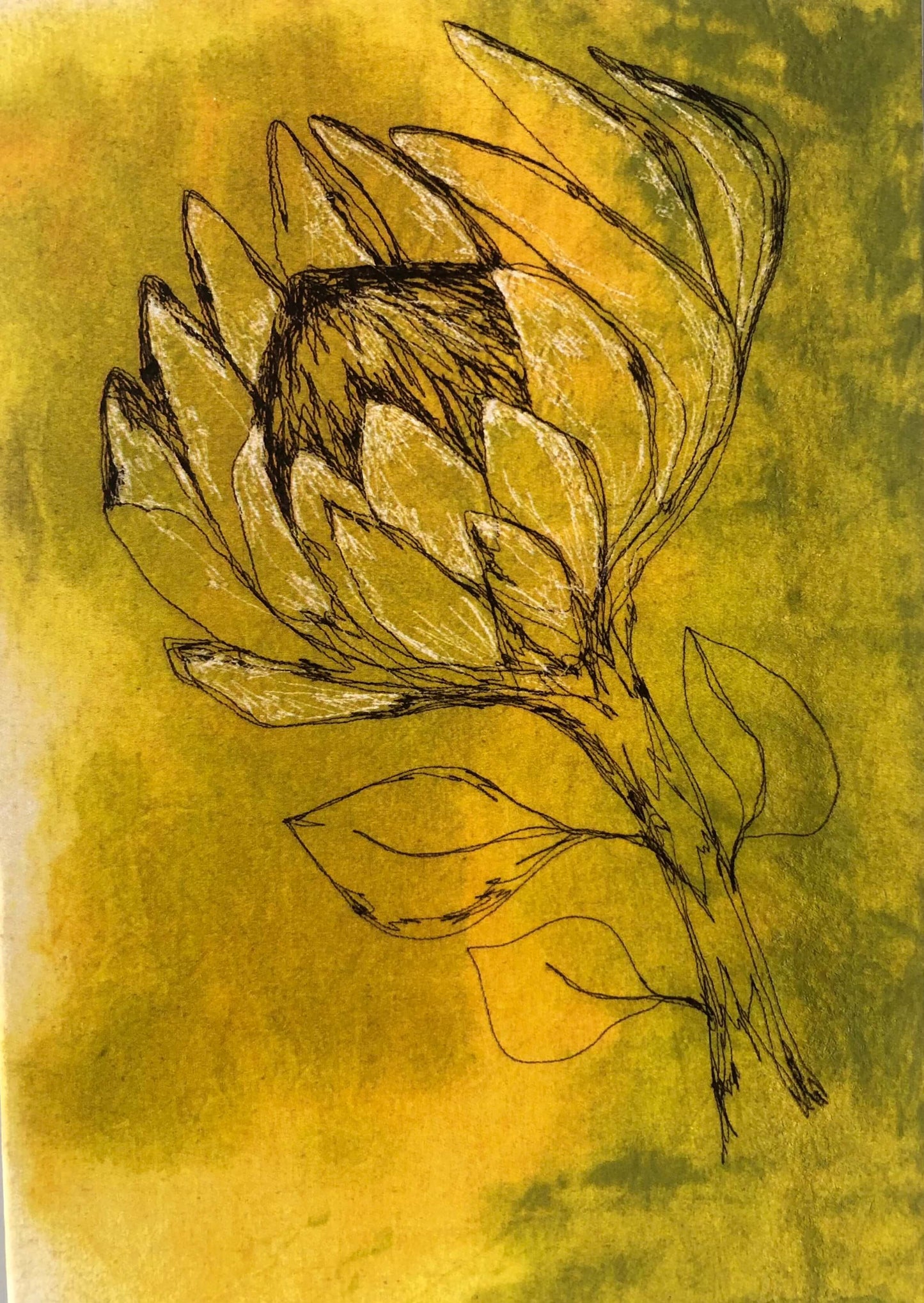 A5 Chartreuse Protea Greeting Card (Blank inside)