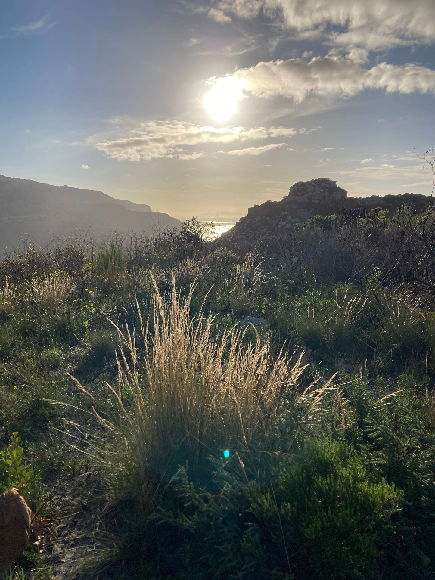 Scenic view of a mountainous landscape with grass and clouds.