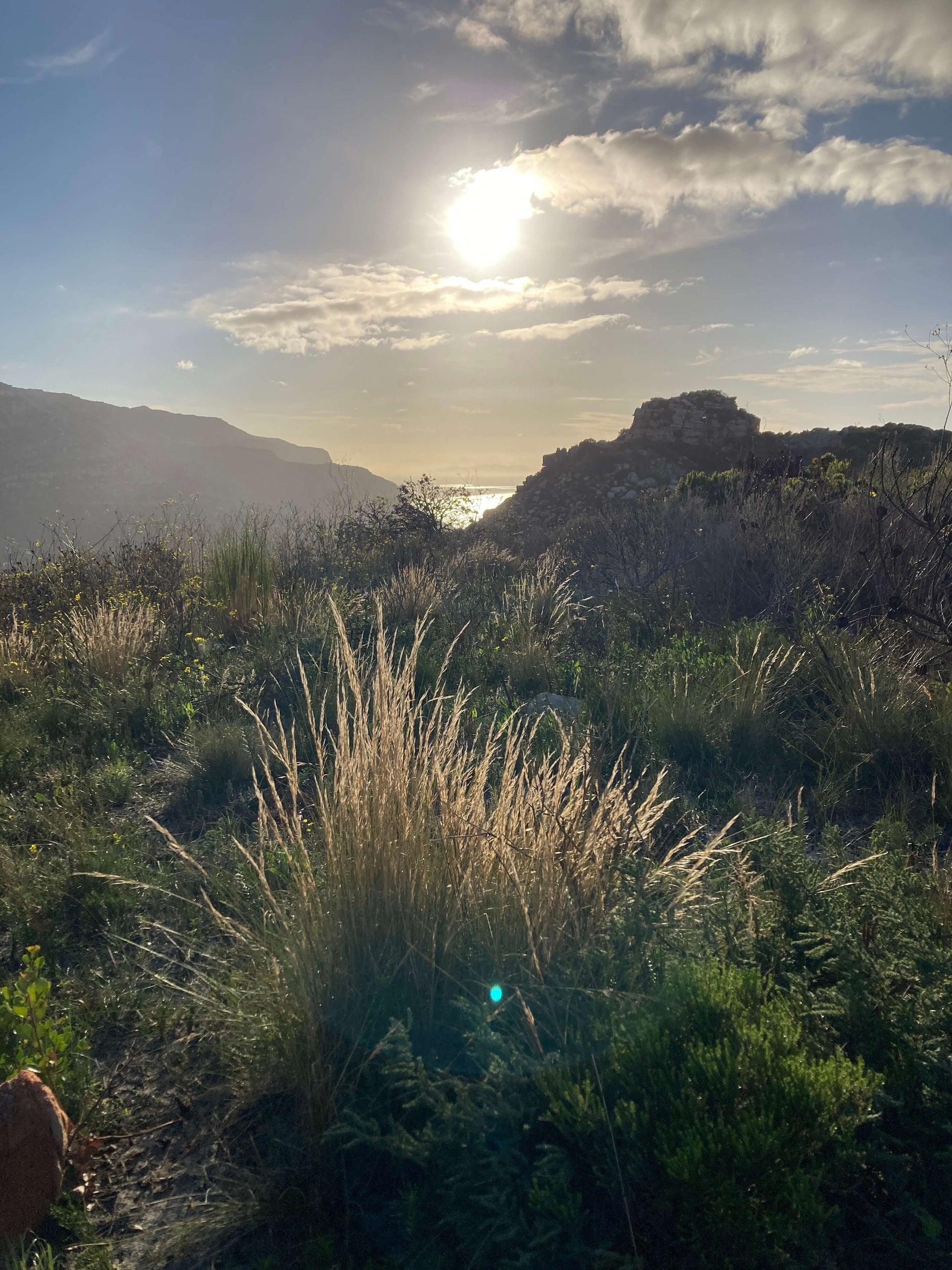 Scenic view of a mountainous landscape with grass and clouds.
