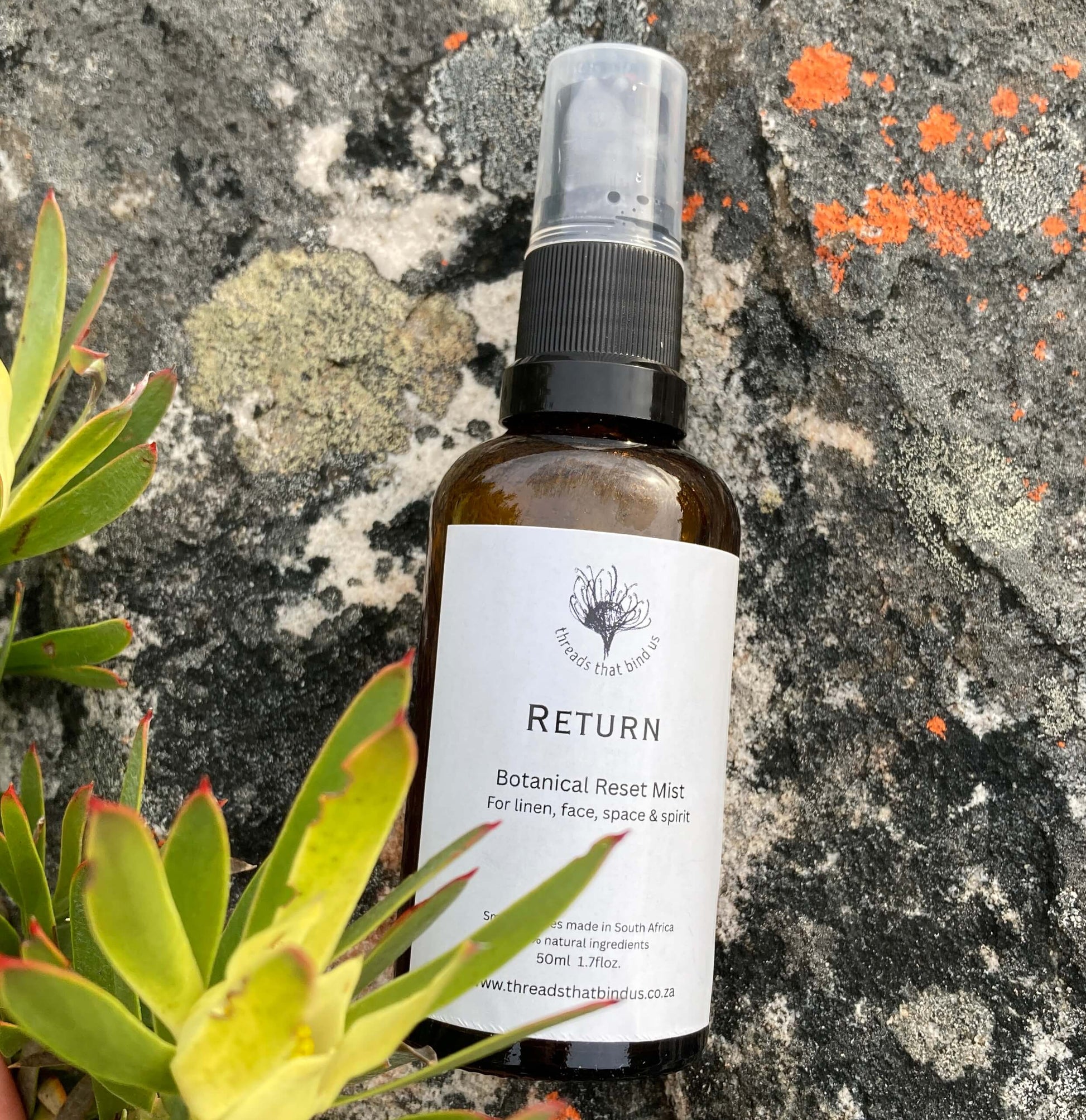 Botanical reset mist bottle labeled 'Return' on a rocky background with fynbos.