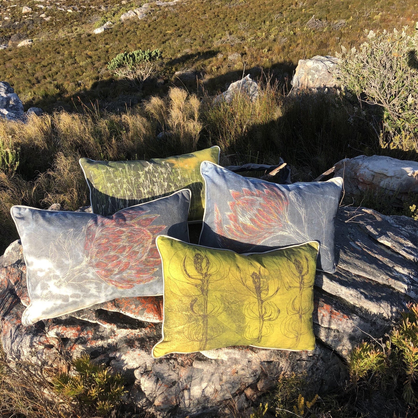 Large Petalled Protea Cushion Cover (Printed) - threads that bind us