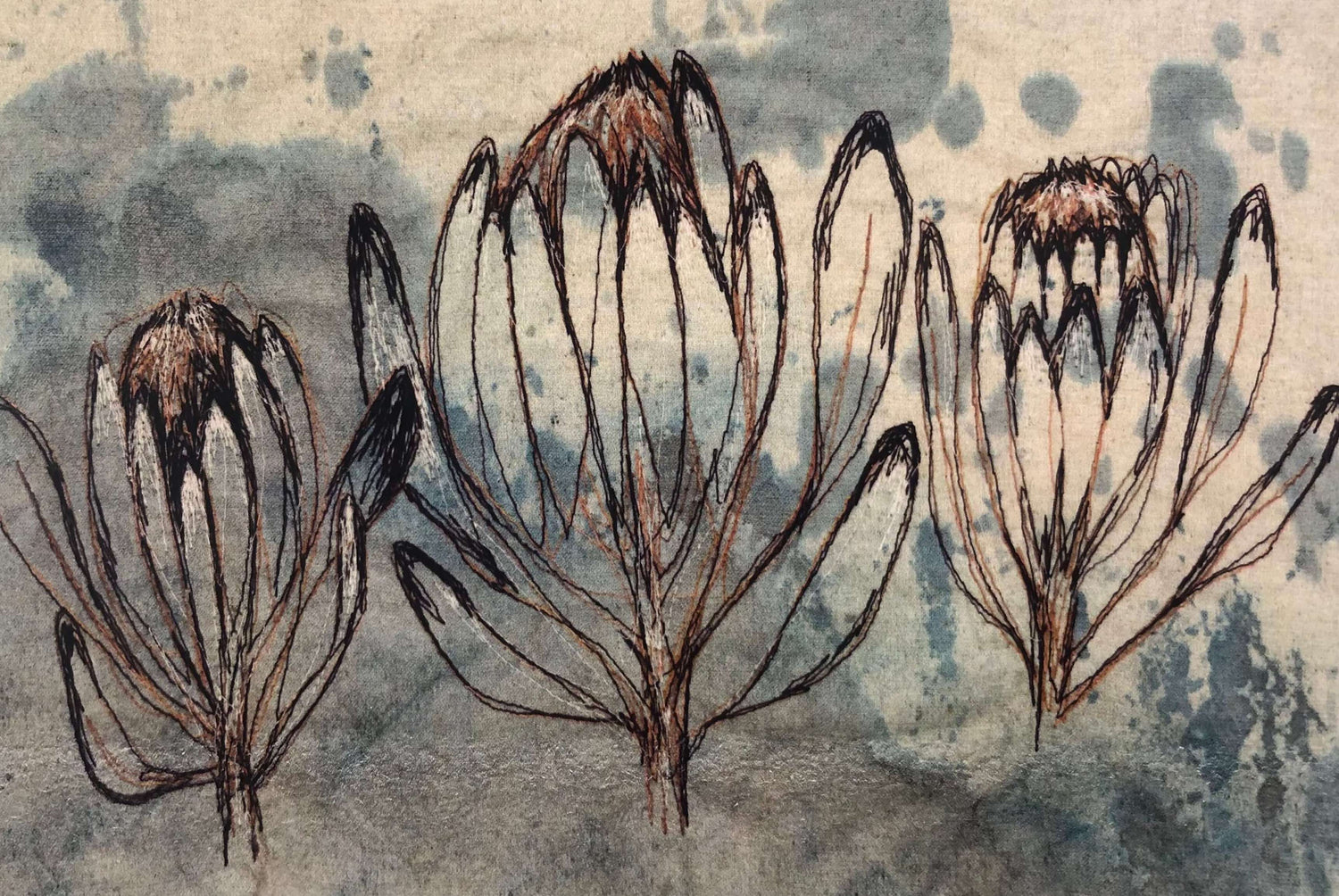 Protea Greeting Cards