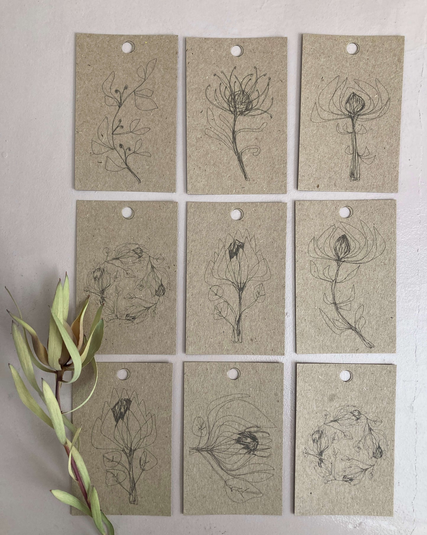 Printed Gift Tags | Fynbos Collection